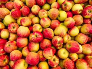 We sell apples for industry, approx. 500 tons. Details