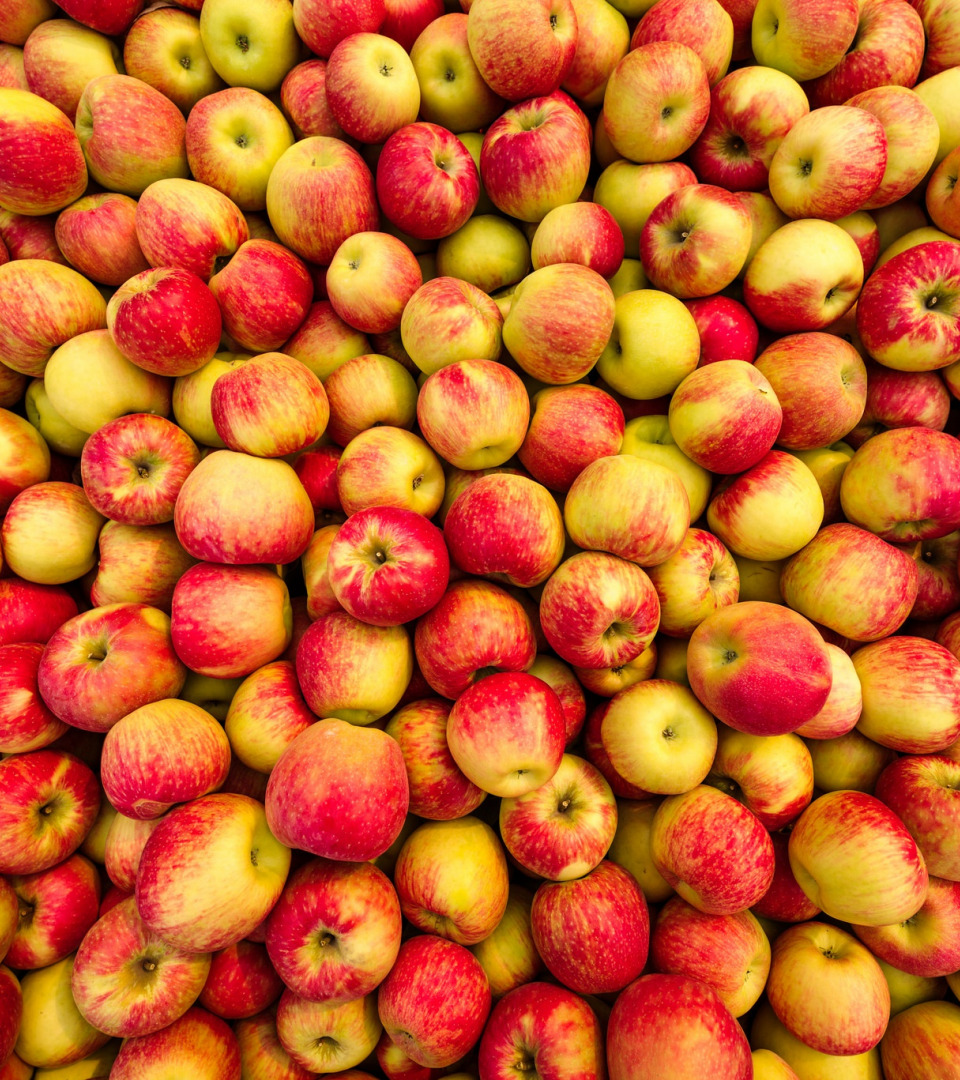 We sell apples for industry, approx
