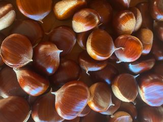 We are one of the biggest producers of edible