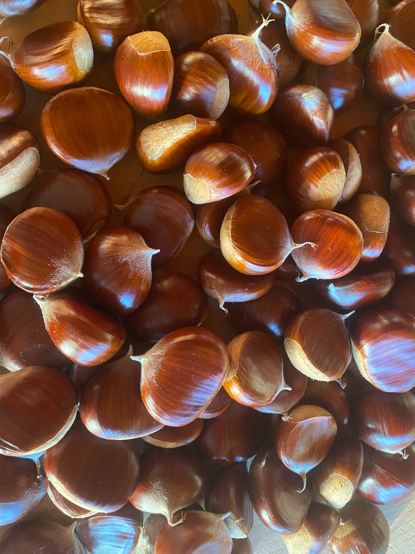 We are one of the biggest producers of edible sweet chestnuts in Lazio region and whole Italy