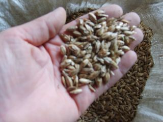 ORGANIC SPELL WITH CERTIFICATE IN HUSK, CLEAN AFTER PETCUSES,