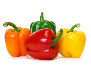 Available colors: Green - Red - Yellow - Orange