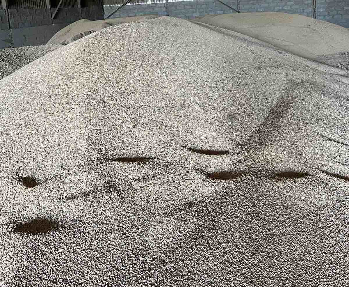 Selling peas crop 2023 Ukraine 300 tons delivery time - DAP (Dobrich, Bulgaria)