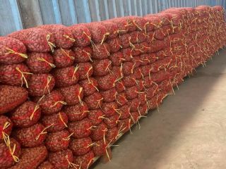 Shelled Almonds Marinada. Really high quality. Highest level of