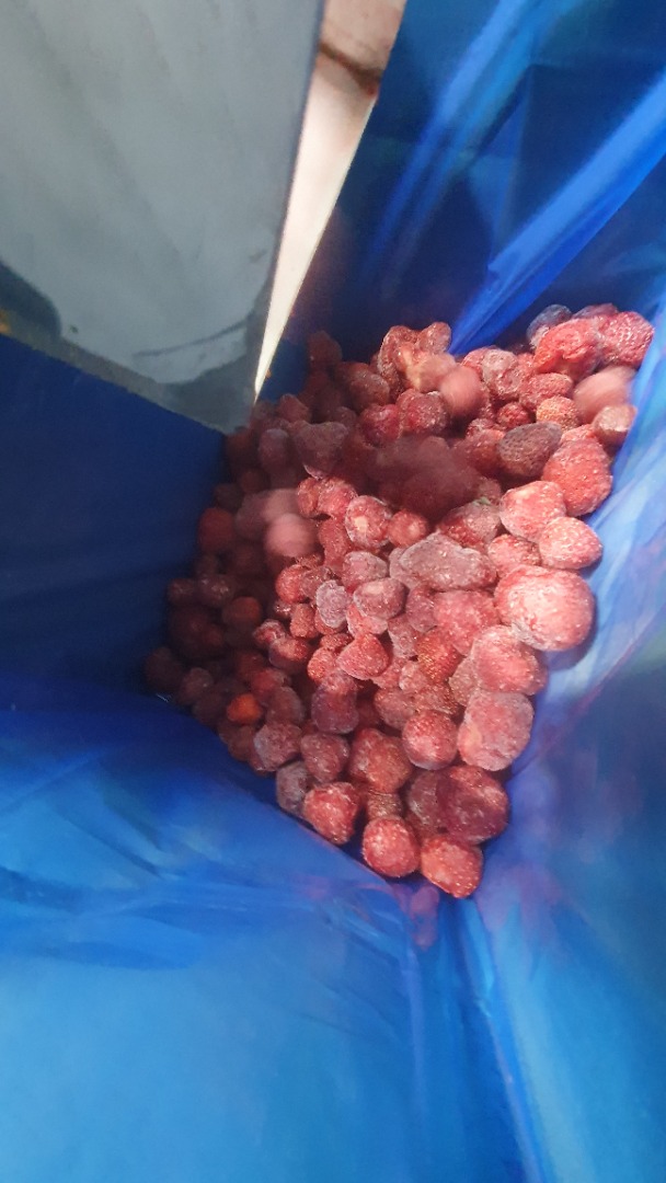Selling strawberry ZENGA ZENGANA Packing 1/11 in plastig bags in cardboard box 90/10 quality 21.000 kg
