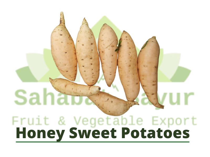 Honey Sweet Potato
