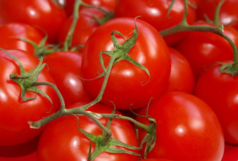 Green and red ground tomatoes for sale