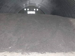 Sunflowers Available immediately, stored in Slovakia. Harvest 2021 WOLF