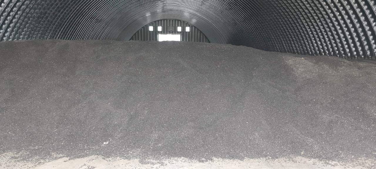 Sunflowers Available immediately, stored in Slovakia