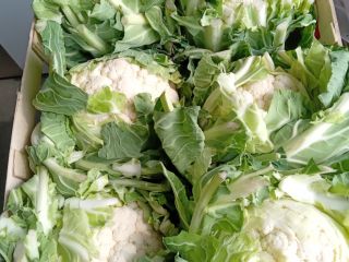 Hello . I will buy Cauliflower, 3,000 pcs at