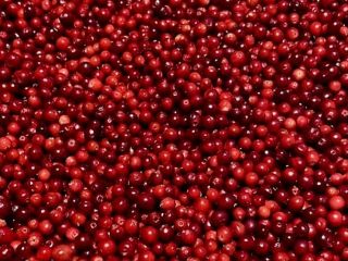 2022 crop frozen berry packaging 20 plastic bag /
