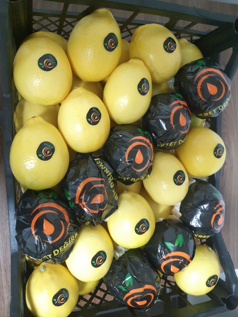 Fresh Lemon Mayer available for export