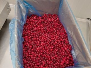 I will sell frozen cranberries class I, the raw