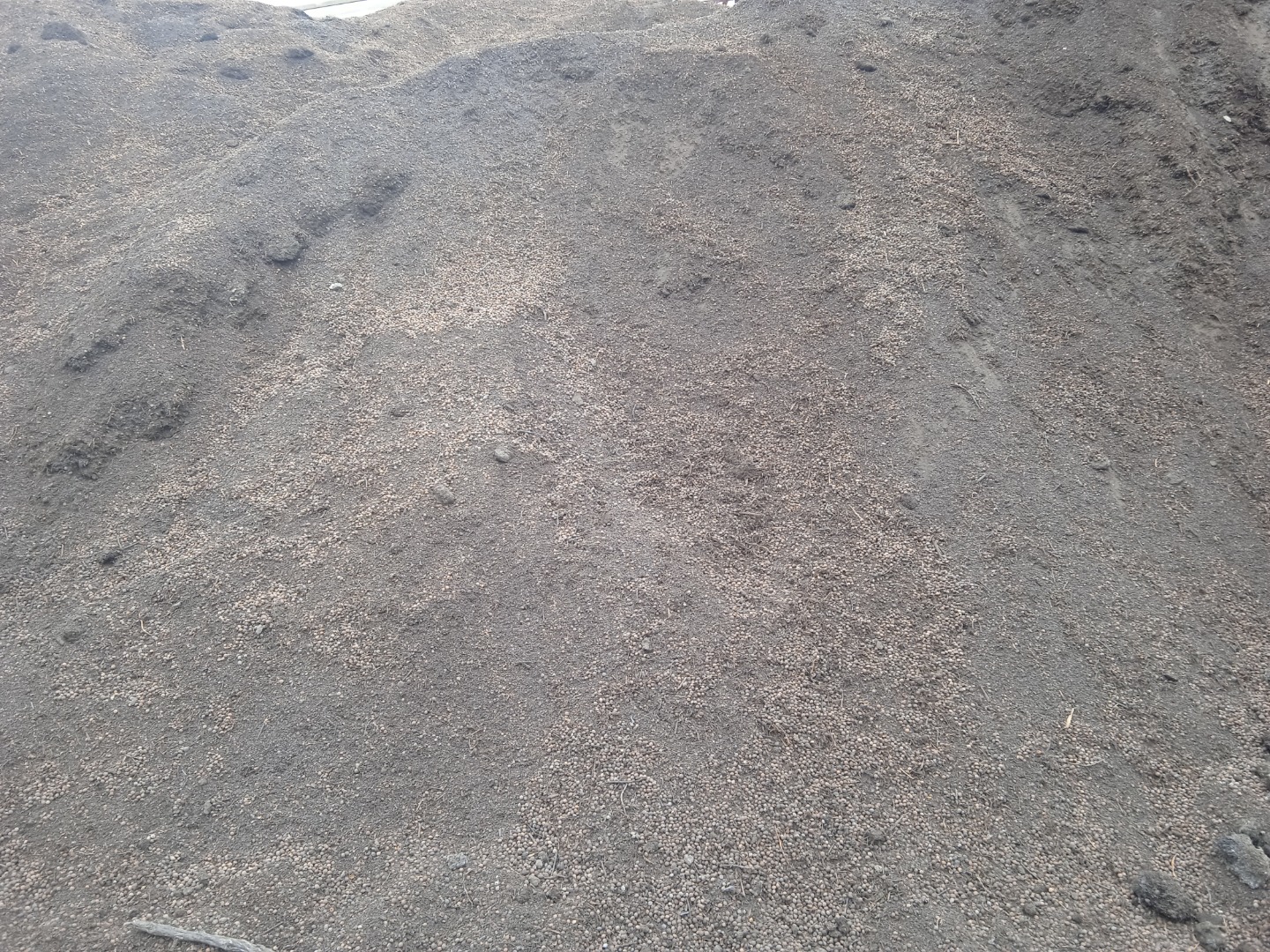 Elderberry and cherry seeds are excellent for heating! 15-20 truckloads for sale! Its heating value is equal to that of brown coal! Dried material stored for 1