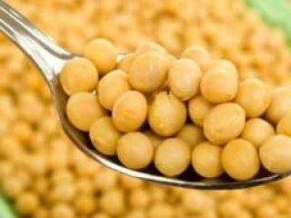 The Polish company will buy for export a large