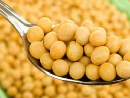The Polish company will buy for export a large amount of barley, wheat, buckwheat, peas, corn, oats, flax, soybeans, sunflowers, wikis, millet and other