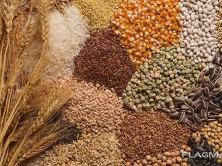 The Polish company will buy for export a large