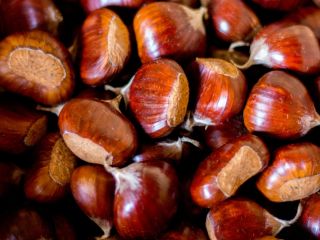 Chestnuts MARRONI DOP, from Caprese Michelangelo.
