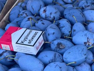 Have in fridge high quality plums sort of :