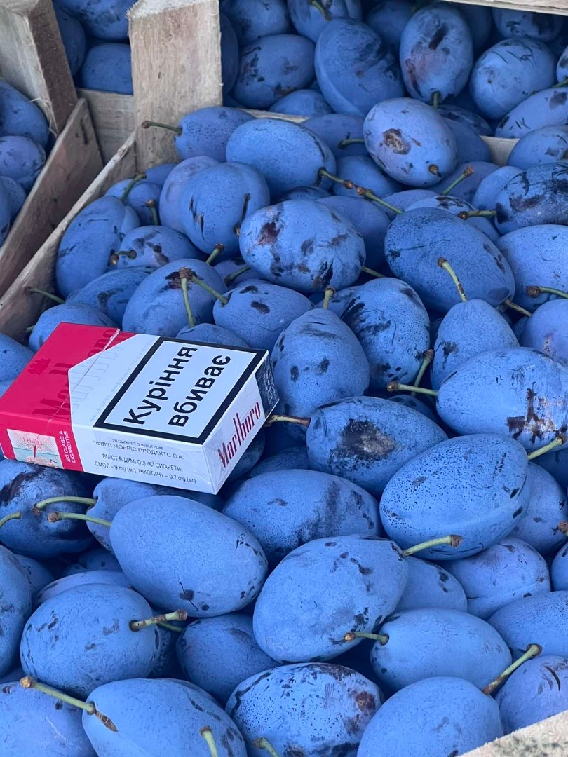 Have in fridge high quality plums sort of : Stanley - 23 t