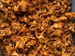 I´m searching for a dried chantarelles. Quantity: 1000-1500kg Quality:
