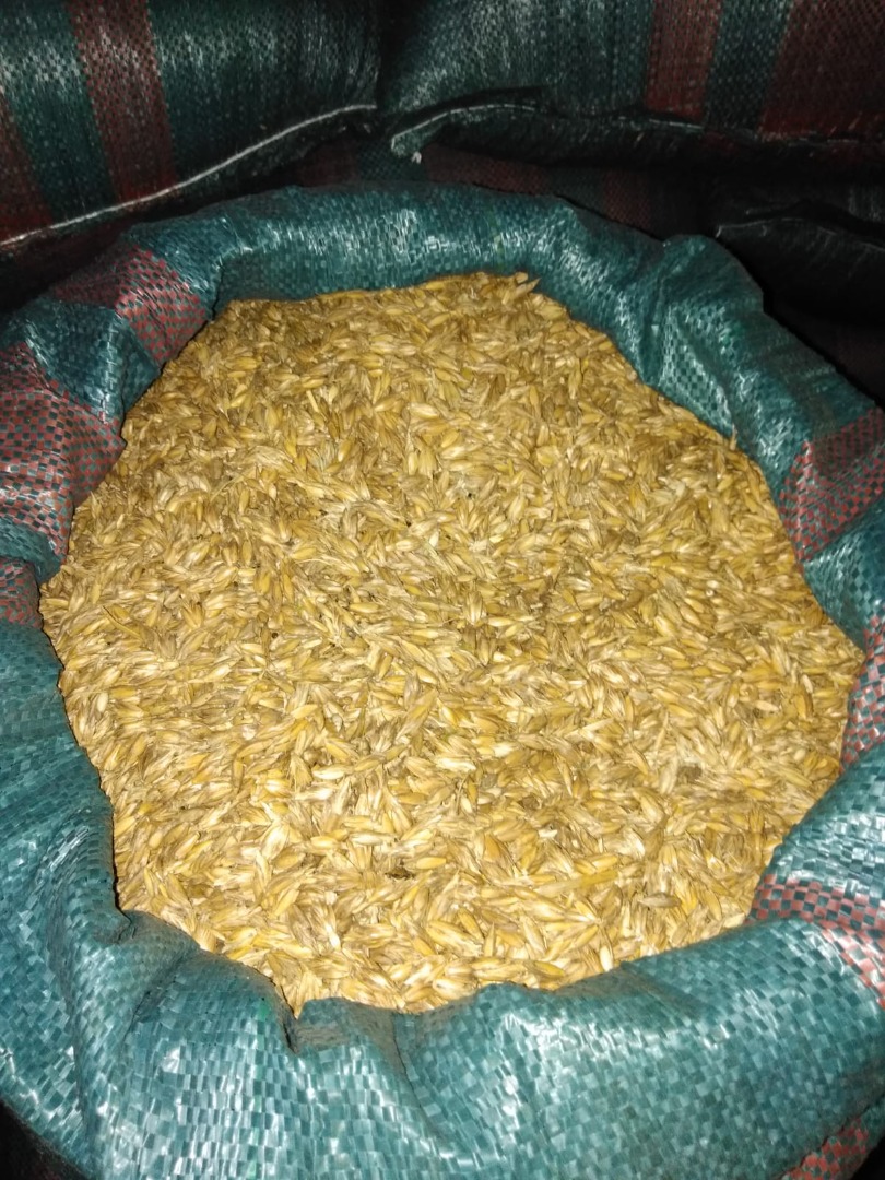I will sell shelled spelled, cleaned