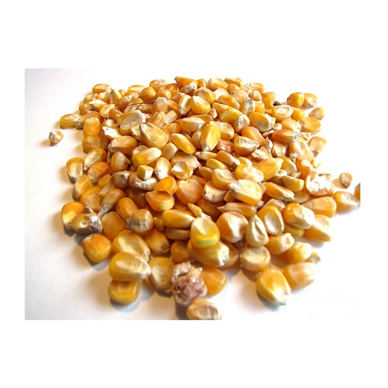 Yellow Maize Specification of Yellow Maize/Corn: Commodity Name -Yellow Maize Crop- Current Year Moisture -14% Max Purity -99% Min Protein: 8% min Color