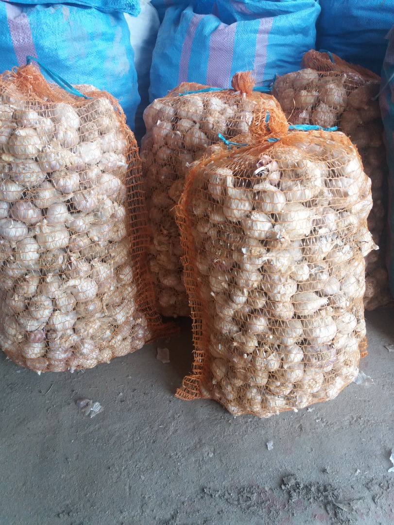 I will sell winter garlic of the Old Polish Harnas variety, healthy for consumption and planting, please contact me
