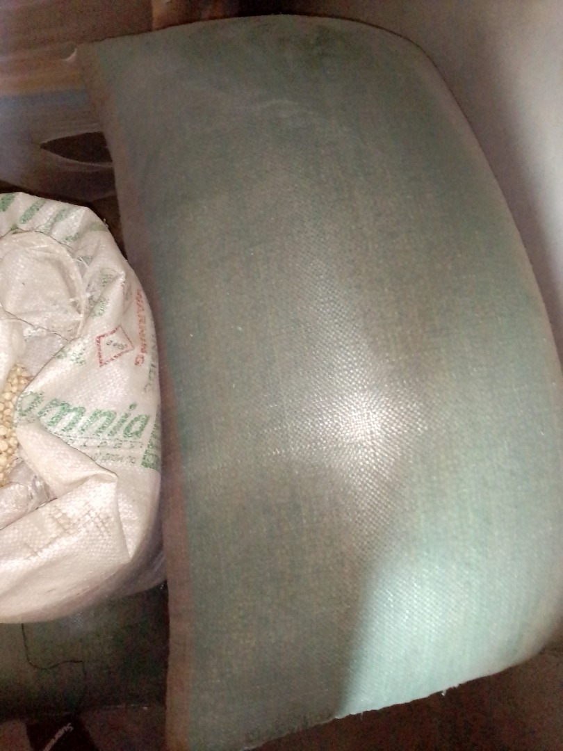 We are selling white maize