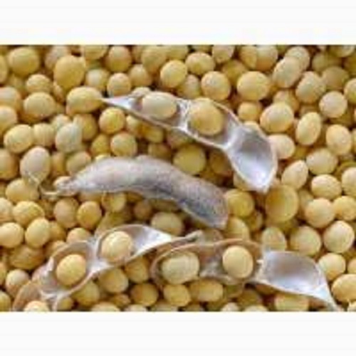 We purchase soybeans from the warehouse, field, and elevator