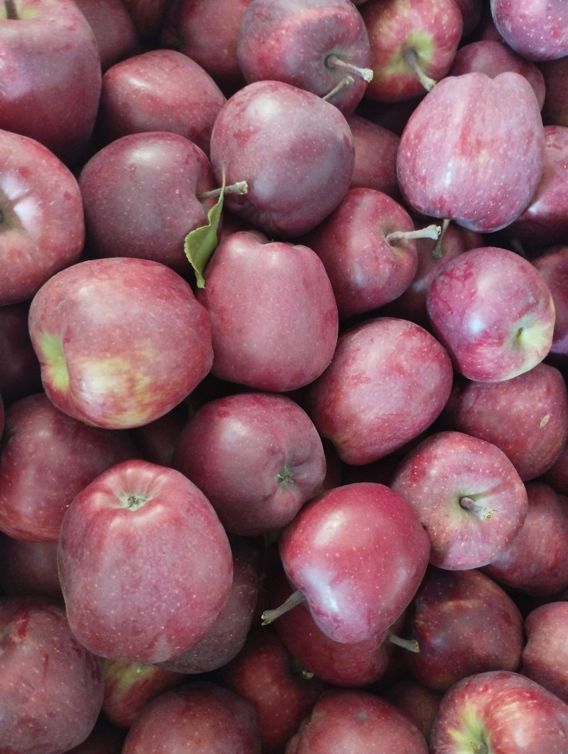 I will sell 20 boxes of apples from the Red Chief group