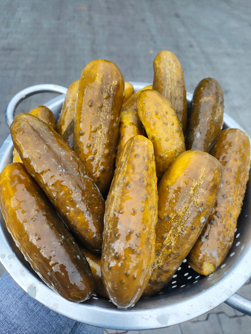 I will sell pickled cucumber 9-12 cm and 12-15 cm in bulk in 160 liter barrels