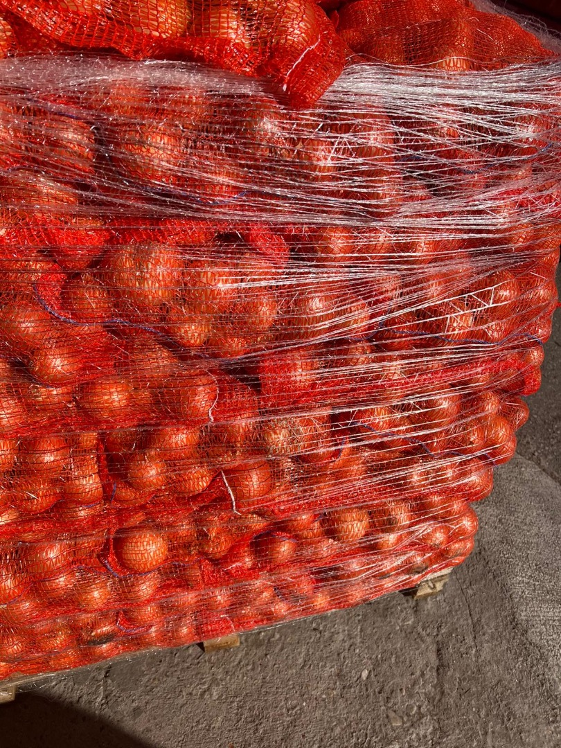 Onion for sale, 22000 kg
