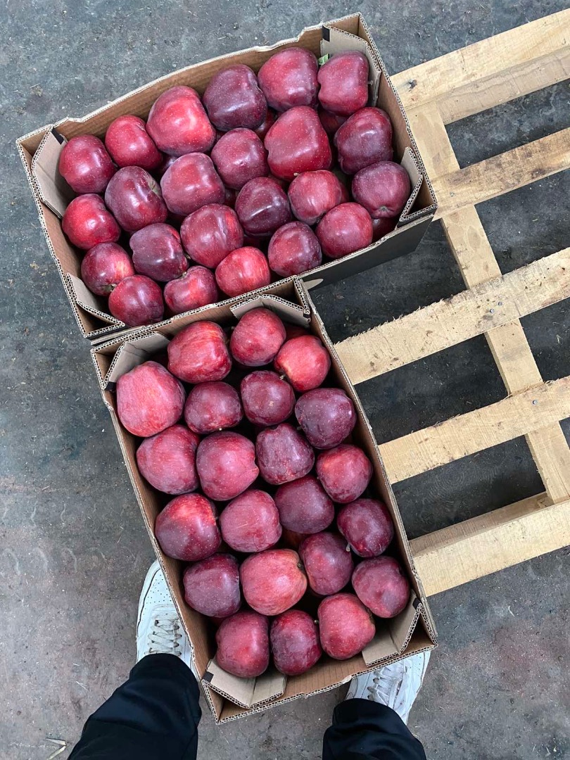 Apple all variety: red delicious, grenny smith, mutsu, idared, gold delicious, jonagold