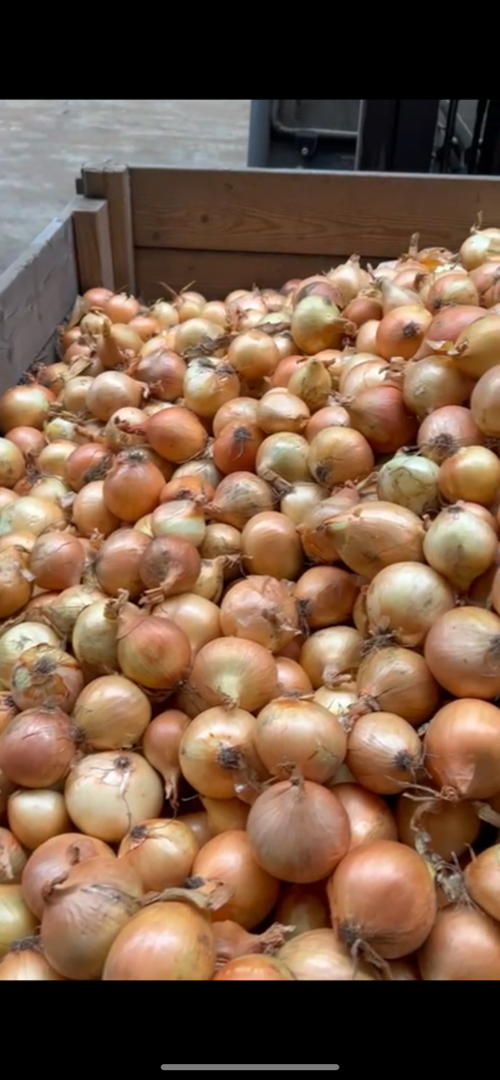 Hello, I am selling bag onions, bigband, loose