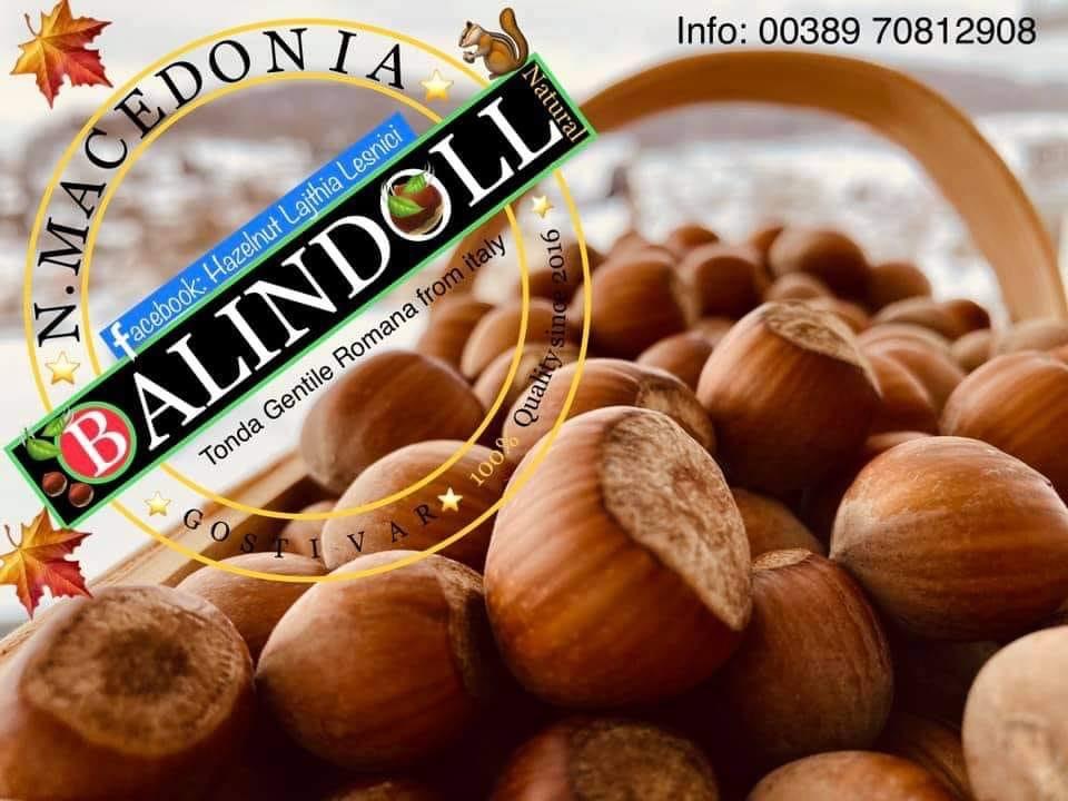 Tomda gentile romana hazelnuts