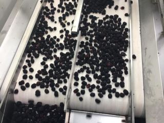 Original super quality frozen blackberry.