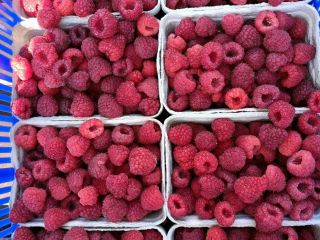 I will sell raspberries from my own plantation, ecological