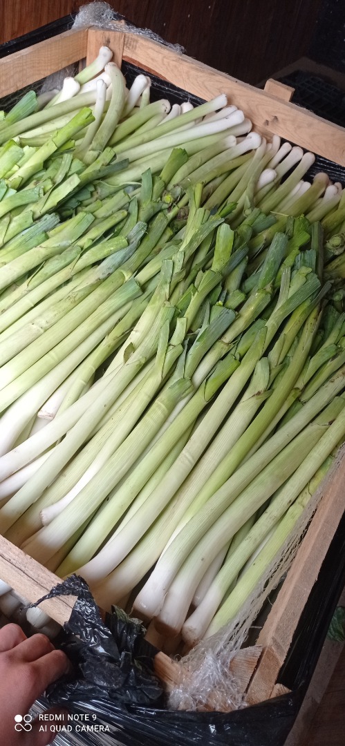 I will sell summer seasons, long for pieces or kg, suitable for trays and frozen food, the possibility of invoicing for more information by phone
