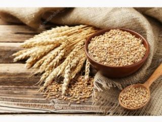 We sell ORGANIC SPELT with eco certificate, COI and