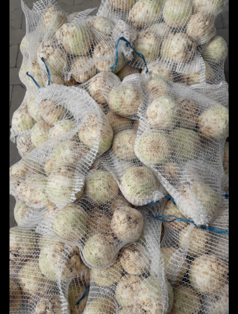 Sale of dirty or washed celery straight from the farmer