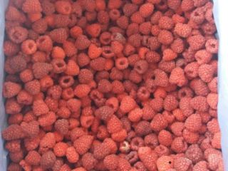 Frozen raspberry packed in 8-10 kg cartons. Class I,
