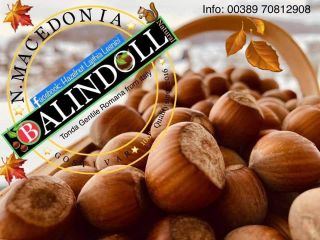 Tonda Gentile Romana: High quality hazelnuts. Highest quality products