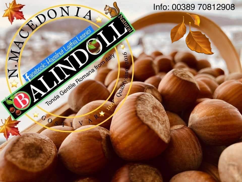 Tonda Gentile Romana: High quality hazelnuts