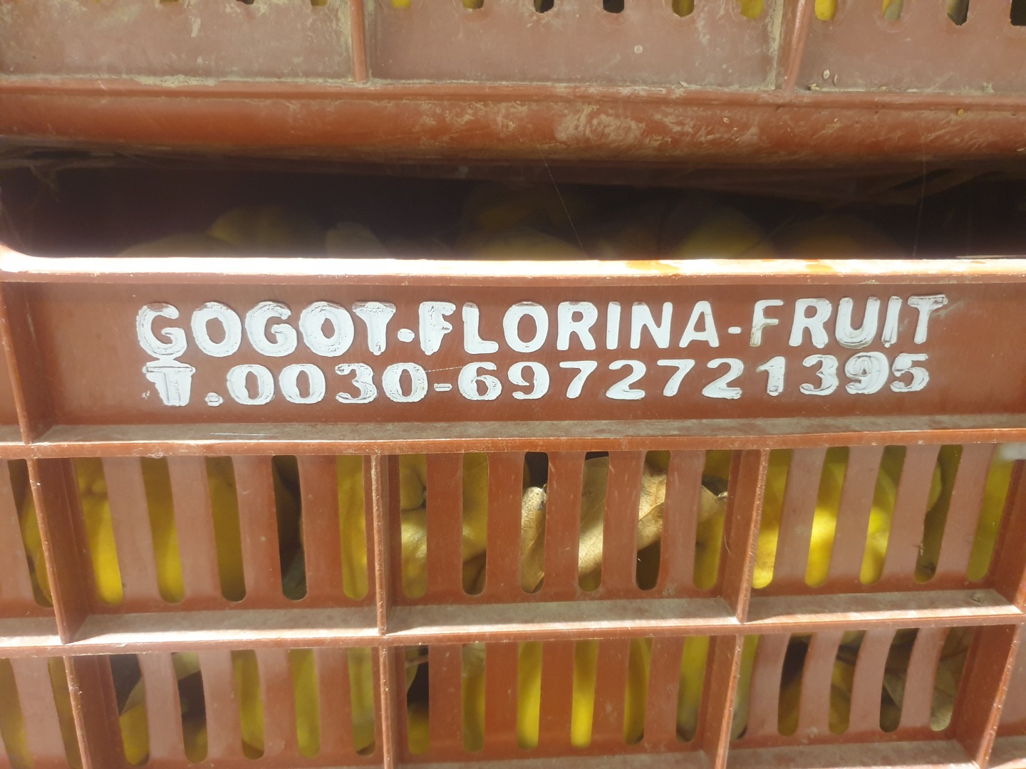 FIA -GOGOT -FRUIT va ofera produse de calitate si pret de producator ,avem de sezon gutuie si se selecteaza in functie de cerintele clientului si se ambaleaza