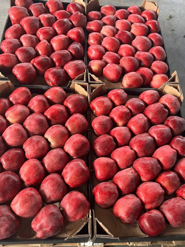 We sell different varieties of apples in large quantities! For details, call the phone number or Viber!