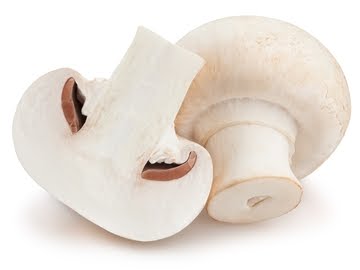 I will sell wholesale quantities of white mushrooms
