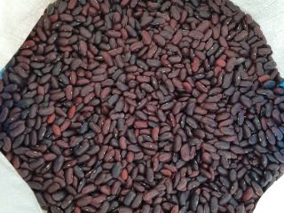 red beans, cleaned in sacks