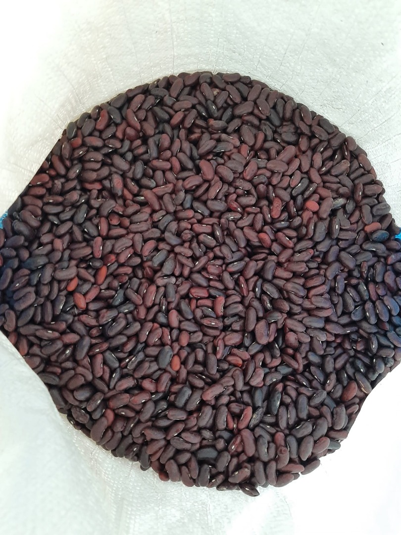 red beans, cleaned in sacks