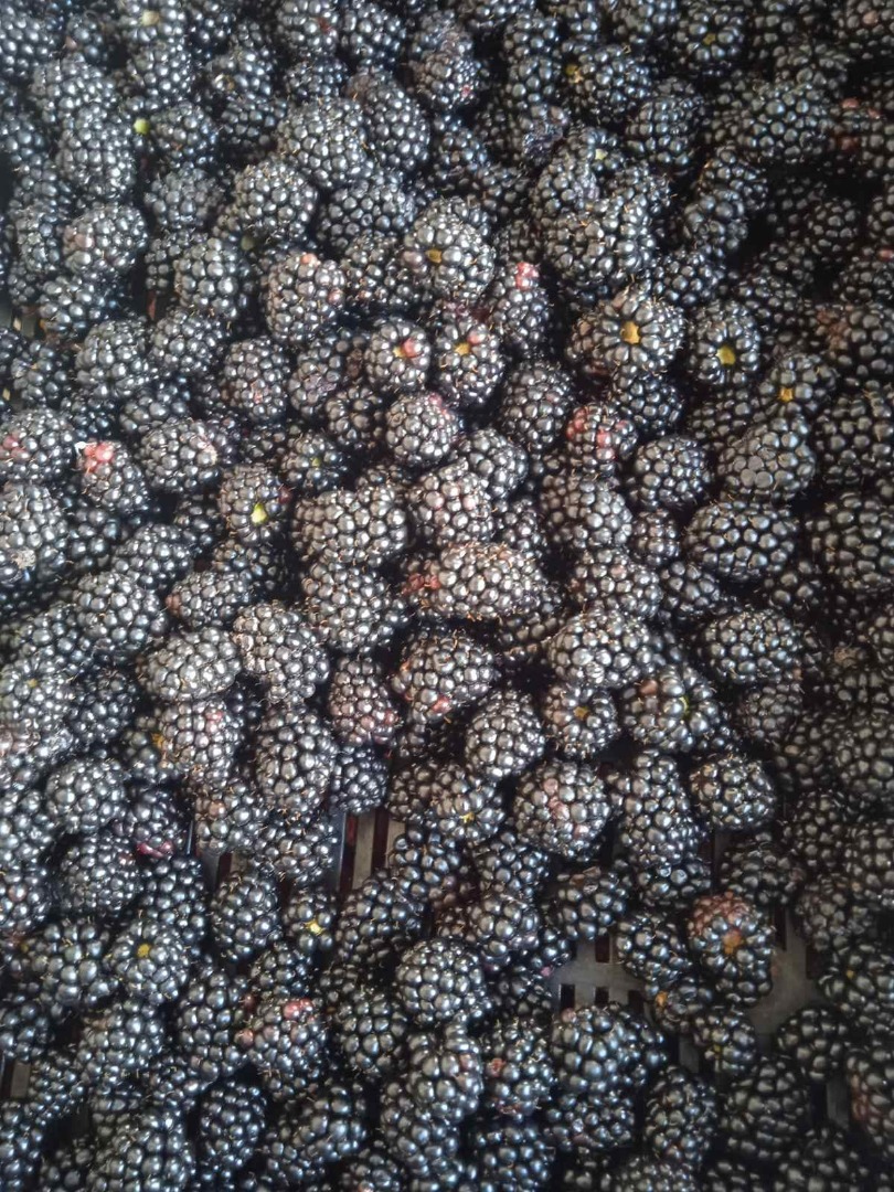 I will sell Blackberry from Ukraine
